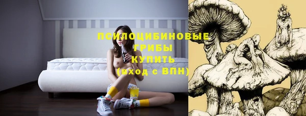 эйфоретик Ельня