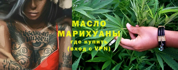 эйфоретик Ельня