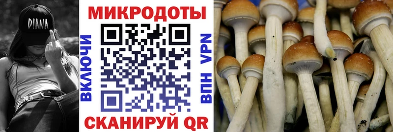 Галлюциногенные грибы мухоморы Каргат